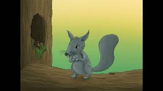 Animated Squirrel test - Procreate Animation