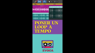 Ajustar un loop al tempo del proyecto en LOGIC X