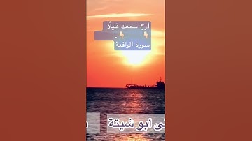 أرح سمعك وقلبك قليلا القارئ الشيخ هانى ابو شيتة 🌹