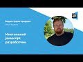 Вадим Царегородцев. Многоликий javascript разработчик