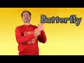 Sign BUTTERFLY | ASL for BUTTERFLY | BUTTERFLY in Sign Language | Sign Language for BUTTERFLY