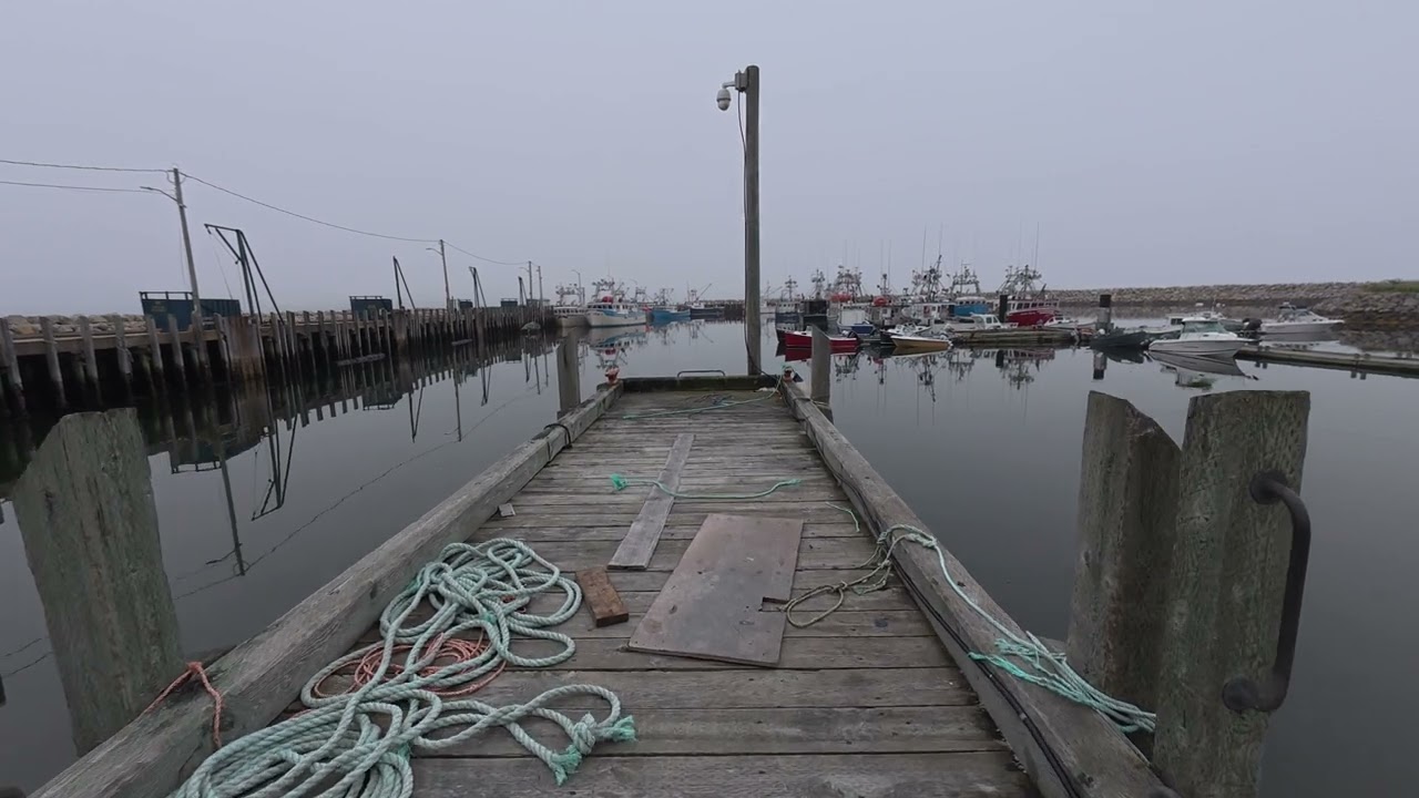 Foggy Morning At The Wharf