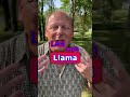 How Do You Say Llama?