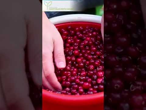 Холодное варенье из