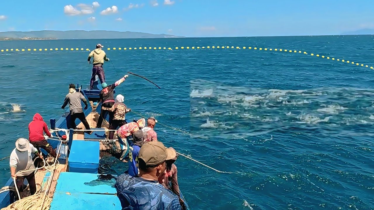 Pukat cincin, Nelayan Indonesia Dapat Banyak Ikan, luar biasa hasil tangkapan nelayan Indonesia
