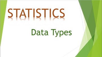 1 Understanding Numerical and Categorical Data Types Through 4 Examples
