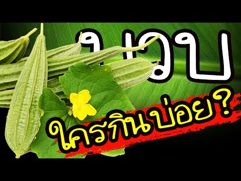 วีดีโอ: บวบมีประโยชน์อย่างไร?