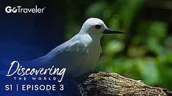 Discovering the World | S1E3 | Seychelles - Turquoise Sun