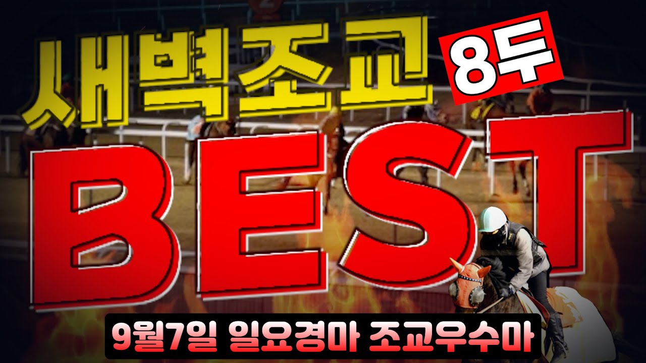 [굽소리경마] 9월7일 일요경마!! 준비잘된 마필로 무조건 승리!!#새벽조교#과천경마장#조교우수마#굽소리경마