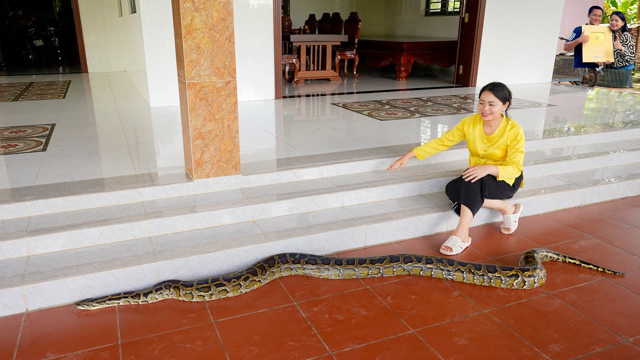 Nhà Phan Diễm Cân Lúa Cha Vợ mua thêm Trăn gấm khủng ăn Bánh Canh Bột xắt thịt Vịt cua đồng Miền Tây