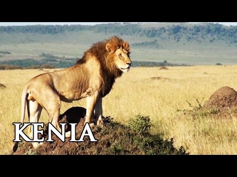 Kenia Highlights In Afrika Reisebericht Youtube