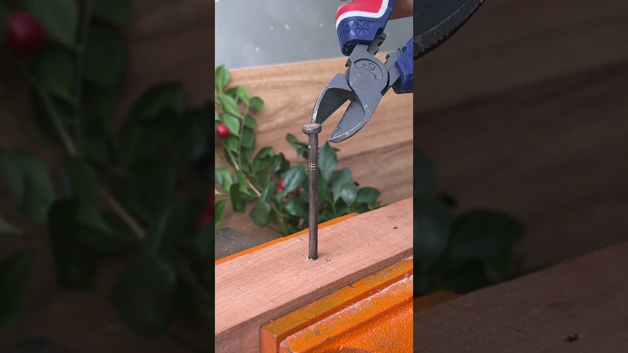 Secret trick to remove nails from wood 🪵🔨Simple and effective