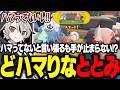 ハマってないと言い張るも手が止まらない!?どハマりしてるととみっくす【ととみっくす切り抜き】