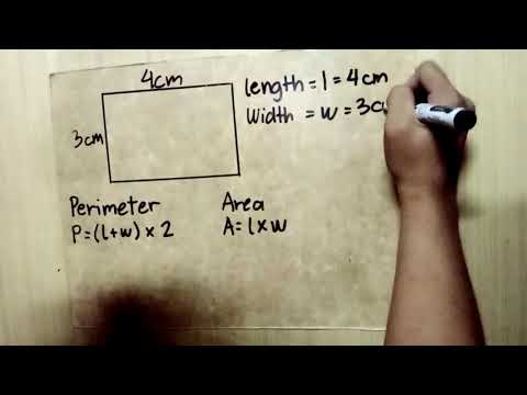 Video: Bakit mahalaga ang surface area sa volume ratio?