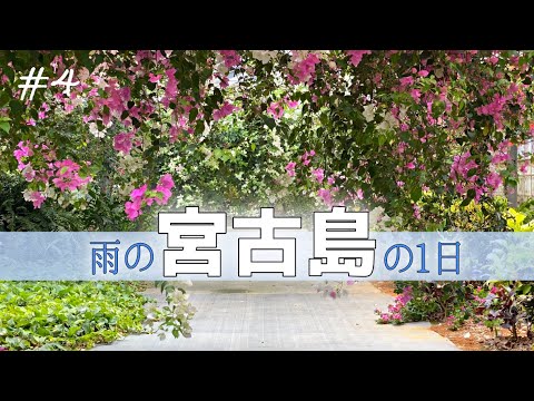 【宮古島旅行vlog1】旅行中の雨の日どう過ごす？海は諦めグルメと買い物に精を出しました　お寿司/ステーキ/お土産/観光/マンゴー