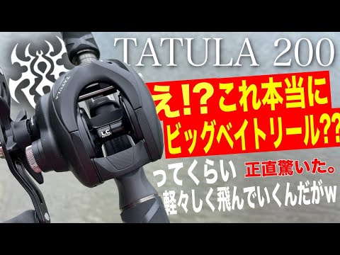 ダイワタトゥーラTW200XHL 美津和タイガー ダイワタトゥーラTW200XHL 美津和タイガー Amazon.co.jp: ダイワ