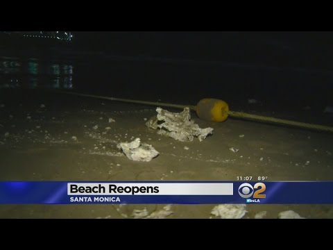 Authorities Investigate White,