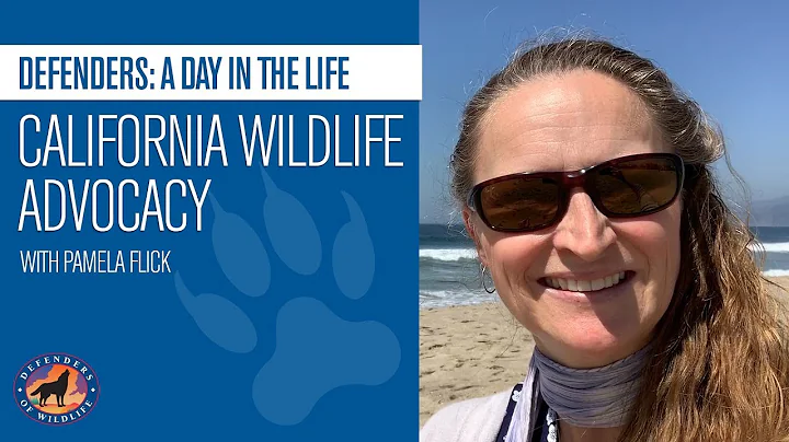 Defenders: A Day in the Life - California Wildlife...