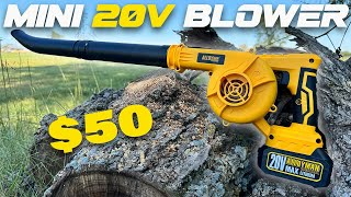 CHEAPEST 20v Mini Leaf Blower on Amazon - Is It Any Good?