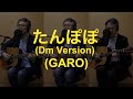 一人でやるさ「たんぽぽ(Studio Version)(GARO)」カバー