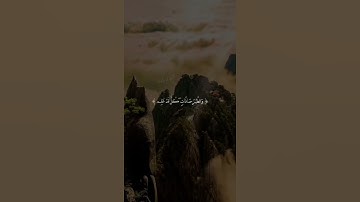 ألم تر أن الله يسبح له من في السماوات والأرض والطير صافات كل قد علم - سورة النور- عبدالباسط عبدالصمد