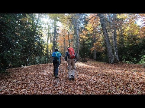 საფეხმავლო გიდები სვანეთში - 2018