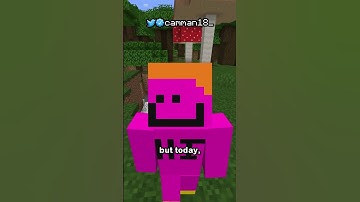 the illusioner may be coming to minecraft...