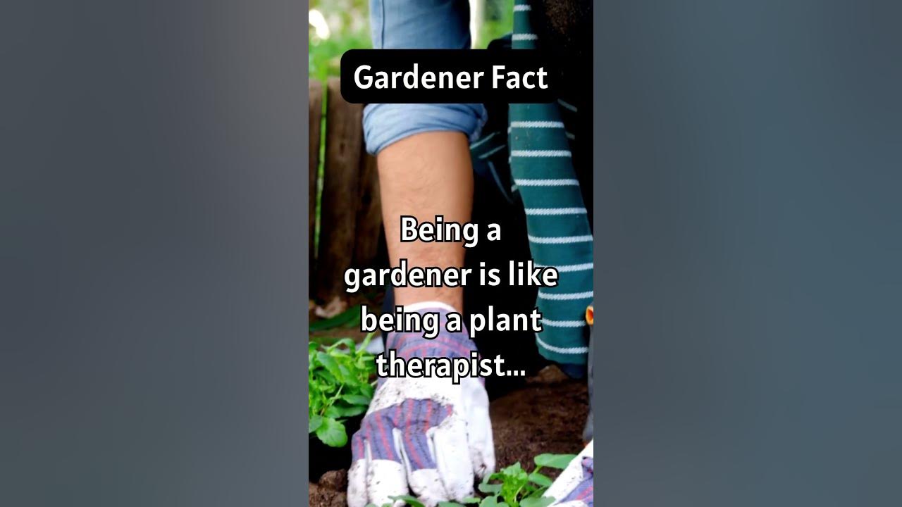 Gardener Fact Being a gardener is like being a plant therapist... 