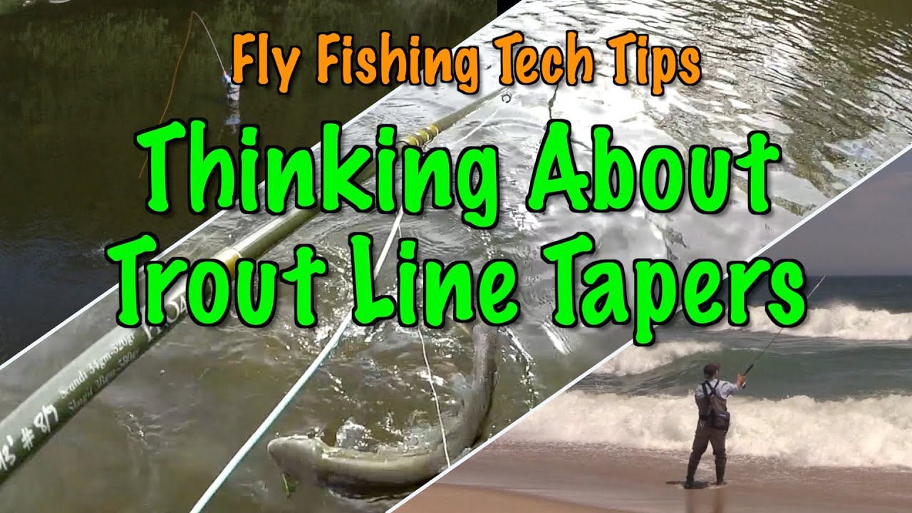 Fly Fishing Tech Tips: Thinking About Light Trout Fly Line Tapers
