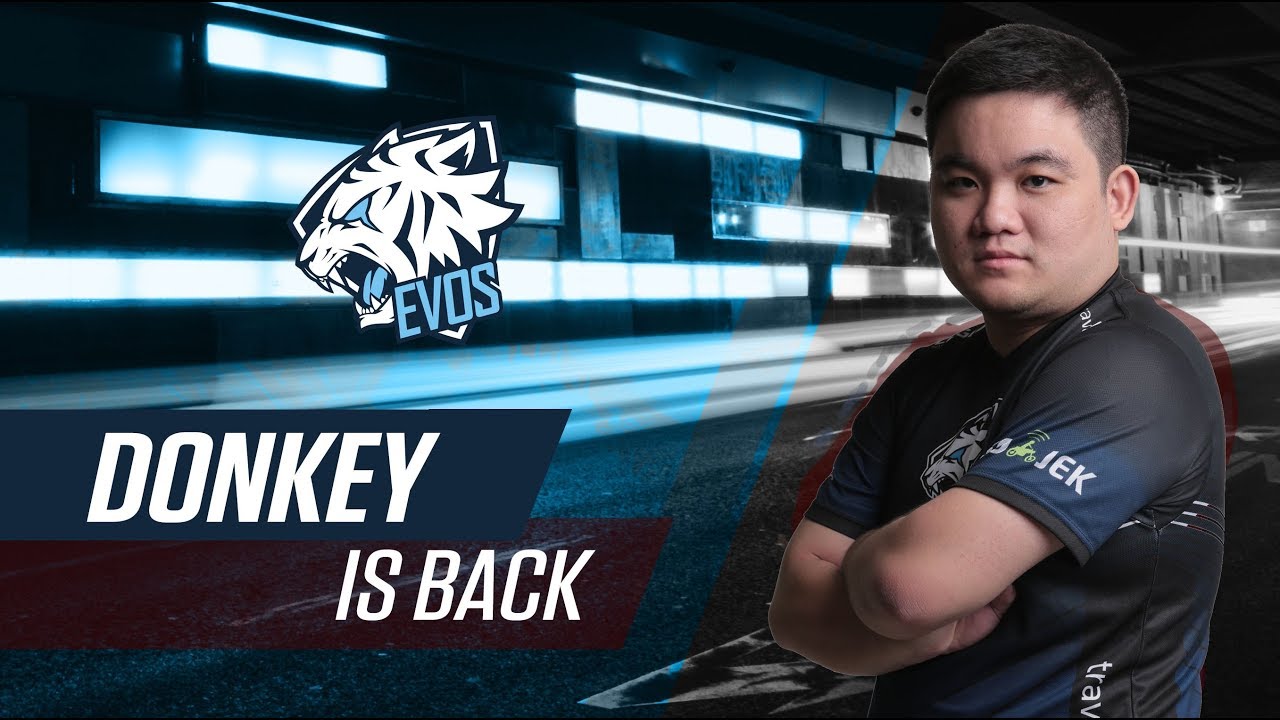 Image result for evos donkey