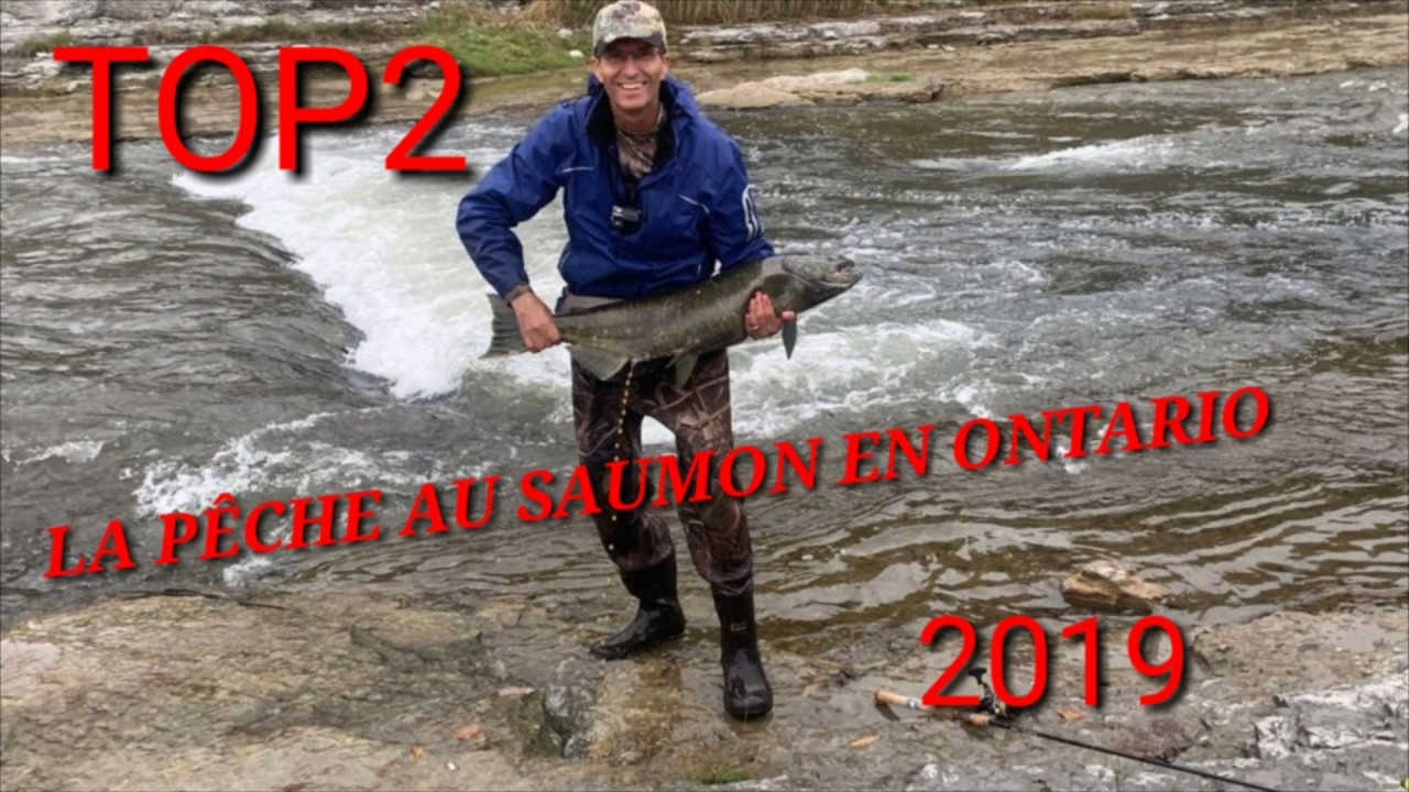 Pêche au saumon a Ontario YouTube