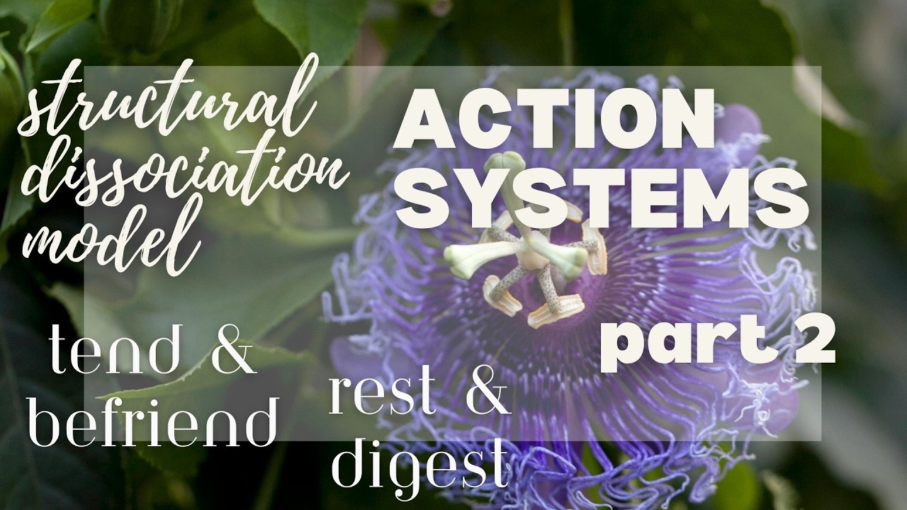 Action Systems: Part 2 Defenses - YouTube