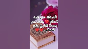 #القرآن #اكسبلور #المصحف #الرحمن #سورة يي #لايك