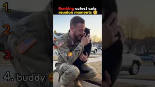 Your Cat Finally Sees You After a Long Time 🥺 #shorts #cutecat #usa