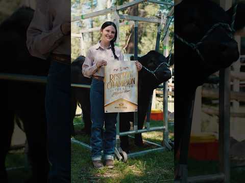 Taylor and Tank 4H Steer Project