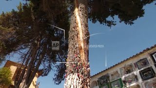 Lightning-struck tree becomes sacred shrine in Bolivian cemetery