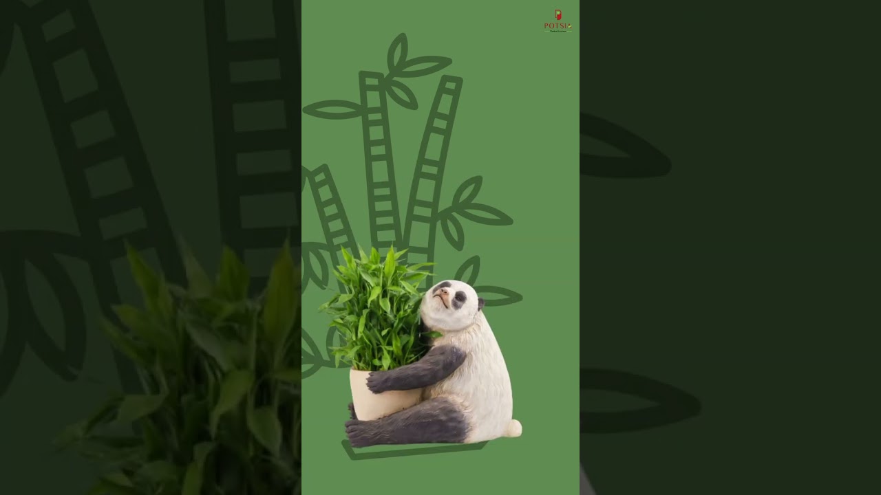 Adorable Gardening Delight: Meet the Handmade Panda Cuddle Animal Planter! 🐼🌿