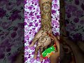 Minimal Mehndi Design Easy