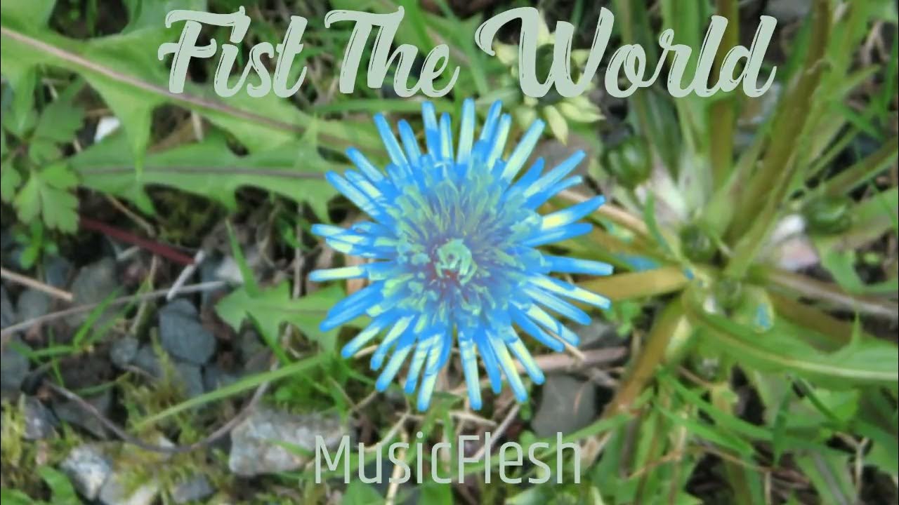 MusicFlesh - Fist The World. MusicFlesh - Fist The World.