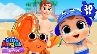 Plajda Hazine Avı 🏖️🏴☠️ | Eğlenceli ve Öğretici Çocuk Şarkıları | Little Angel Türkçe