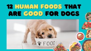 Mga PAGKAIN na PWEDE sa ASO  | Dog Foods | Munting Kennel