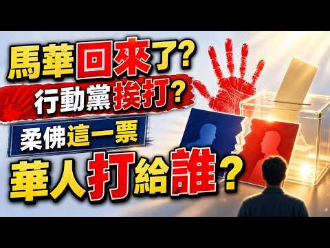 馬華真回來了，還是行動黨被警告？柔佛這一票，華人給了誰一巴掌