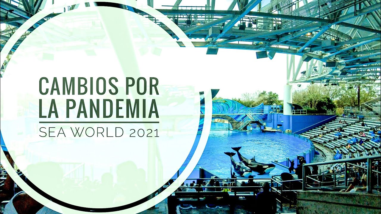 SeaWorld Covid Update durante la pandemia 2021 - YouTube