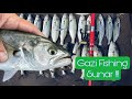 Gazi fishing kurun arkas kak  gaik  ile  lfer av resitali 