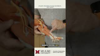 Why Miami's education stands above the rest #collegechoice