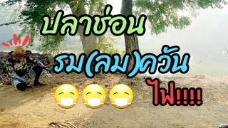 ตกปลาช่อนคลองลอก หมายมหาชน ในวันที่ตลาดเริ่มวาย ได้รมควันด้วย มิ้นท์ สาระลัวร์