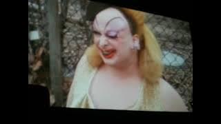 Pink Flamingos - Reaction