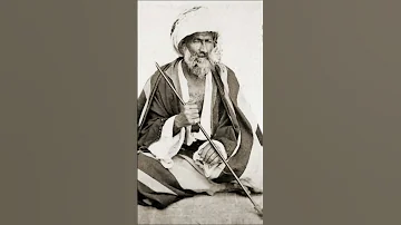 الشبكشي 