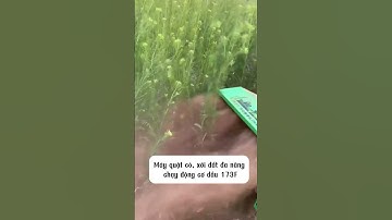 Máy cắt cỏ trục băm chuyên nghiệp chạy động cơ dầu 173F LH 0862.469.846  #automobile  #farming