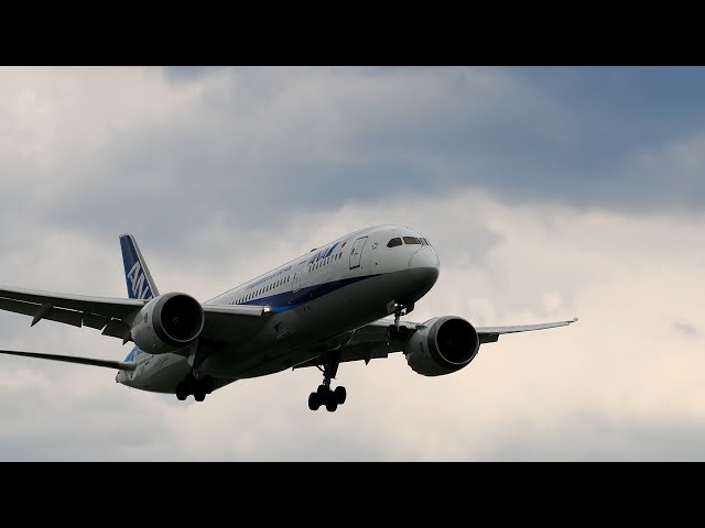 航空機・ヘリコプター BOEING 787-8 ANA JA817A 機体記号 : JA817A (ANA) 航空機体ガイド | FlyTeam(フライチーム)